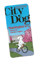 city dog