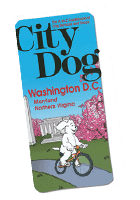 city dog